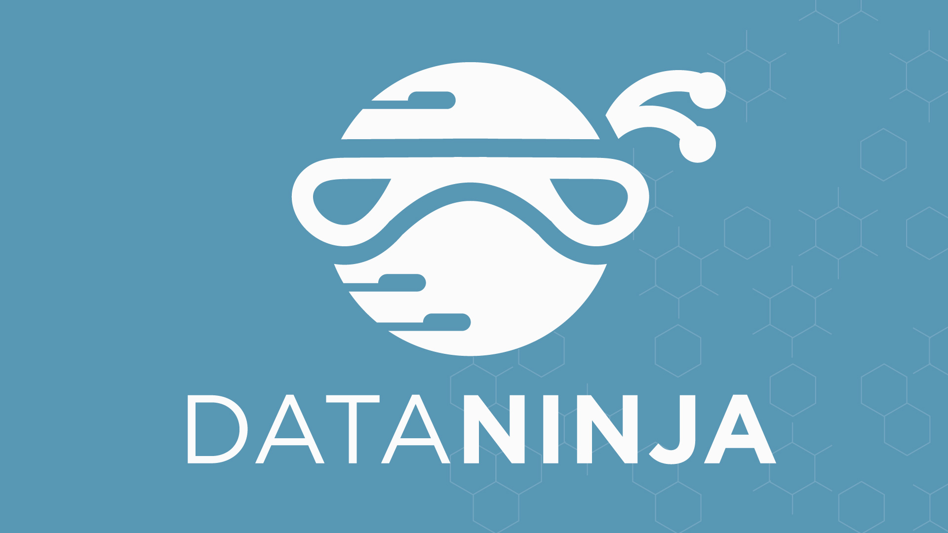 Data ninja logo 