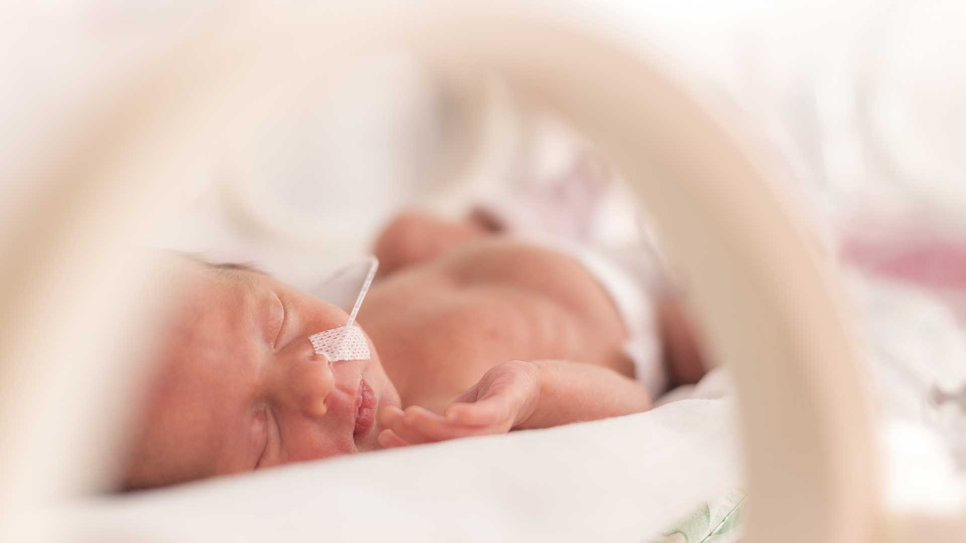 premature newborn baby girl inside incubator